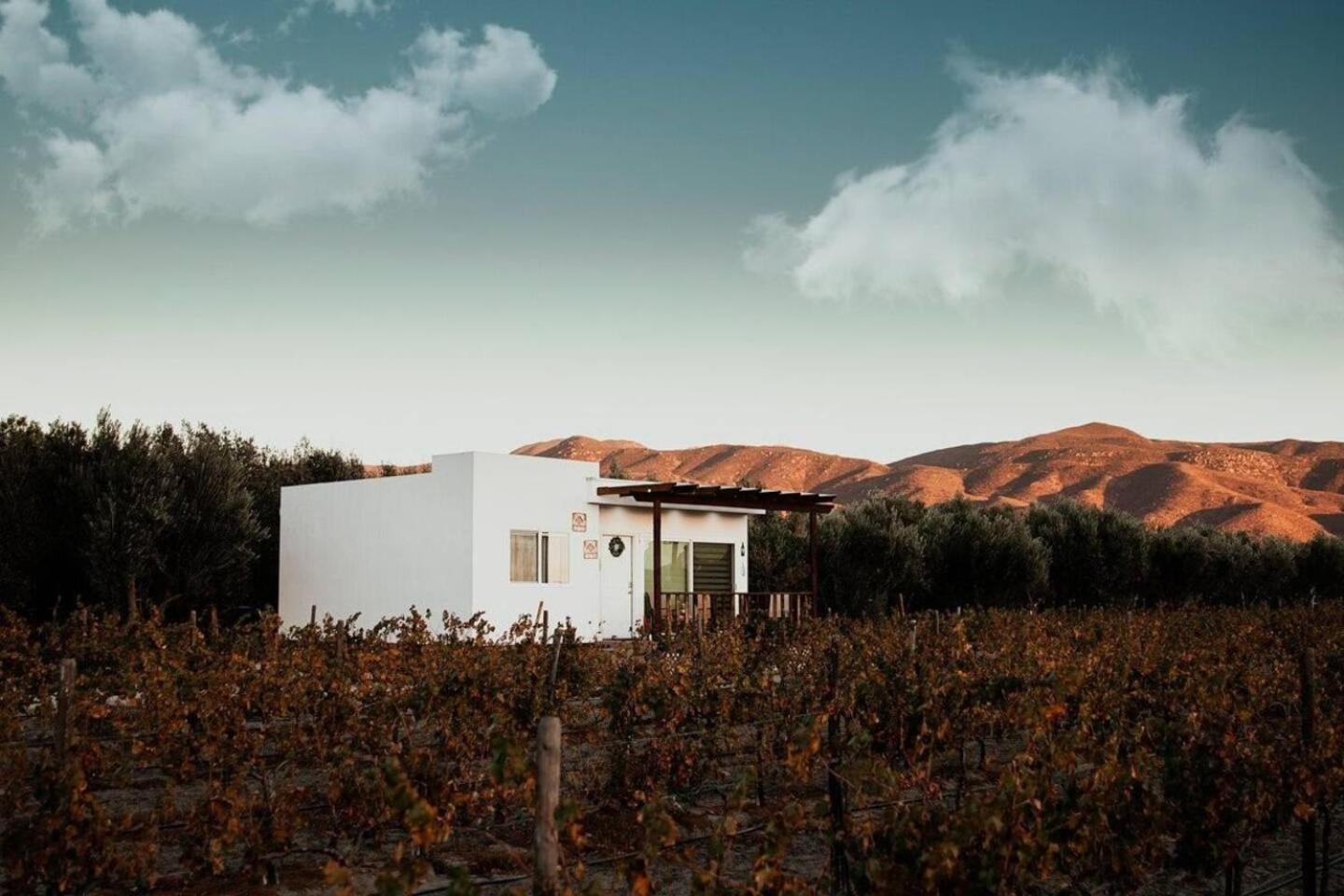 Casa Colibri Guadalupe Valley Ngoại thất bức ảnh